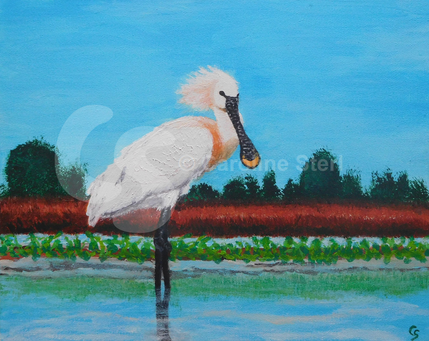 Painting: Eurasian Spoonbill